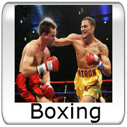 Light Contact Boxing (Free Boxe)