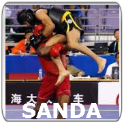 Full Contact Sanda
