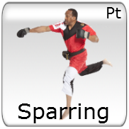 Sparring - Point