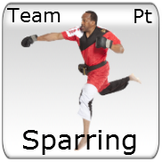 Sparring - Teams - Point